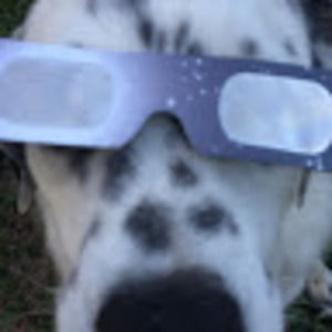 Meet your Posher, Kerry